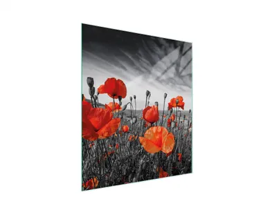 Image de Plateau De Coupe De Verre 45X52 Maki