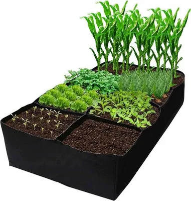 Produktbild von Verhoogde Kruiden- und Gemüsebeet 6x3x1ft - 128 Gallonen Kulturbeete für Kräuter - Blumen und Gemüse - Garten Kulturbeete