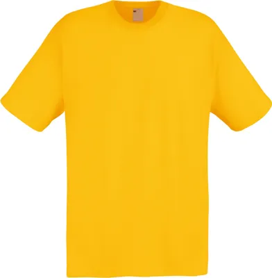 Image de T-shirt manches courtes loisirs homme BC3904 (S) (Or)