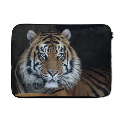 Produktbild von MuchoWow® Laptop Hülle 14 ZollTiger - Höhle - Natur Laptoptasche - Laptoptasche - Stoßsicher - Schutzhaube