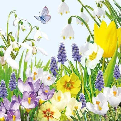 Produktbild von Papierservietten Frühling Blumen Schmetterling