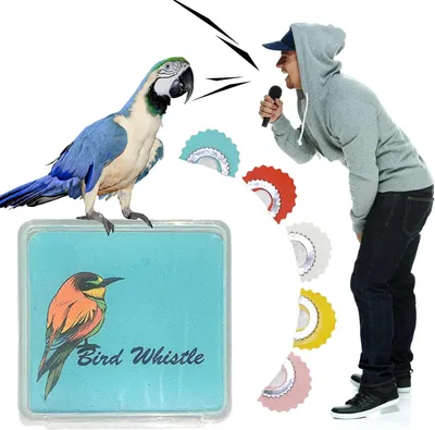 Produktbild von Vogelpfeifen – 5-teilig – Vogelpfeife – Lustiges Vogelpfeifen-Set – Vogelstimmen imitieren – Vogelgeräusche nachahmen – Nachtigallflöte – 5 Farben