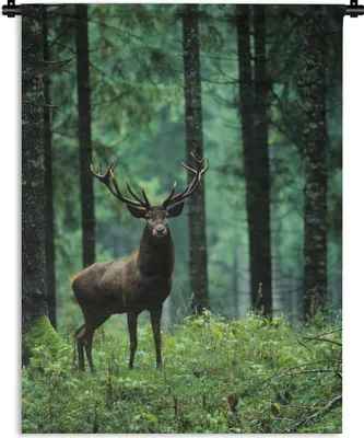 Produktbild von MuchoWow® Wandteppich Wandbehang Hirsche - Wald - Bäume - Tiere - Natur 90x120 cm Tapisserie Dekoration Wandtuch - Wanddeko