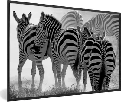 Produktbild von MuchoWow® Gerahmtes Poster Laufende Zebras 60x40 cm - Poster mit Schwarzem Bilderrahmen Wandposter Rahmen Foto Bilder - Printing - Wanddeko Schlafzimmer