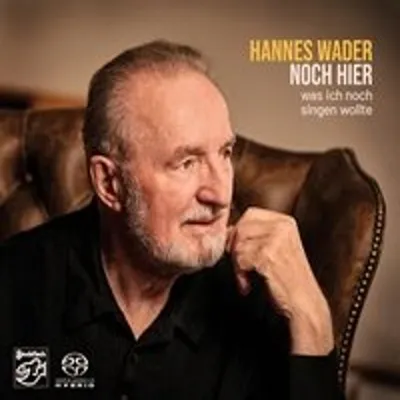 Image de Encore ici - Ce que je voulais encore chanter