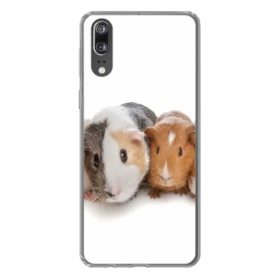 Produktbild von MuchoWow® Handyhülle Schutzhülle Hülle für Huawei P20 Fünf Meerschweinchen Silikon Softcase Handy Hülle - Hardcover