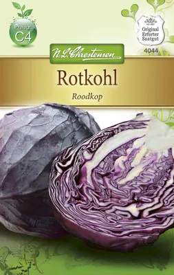 Produktbild von Rotkohl Roodkop | Rotkohlsamen von N.L. Chrestensen