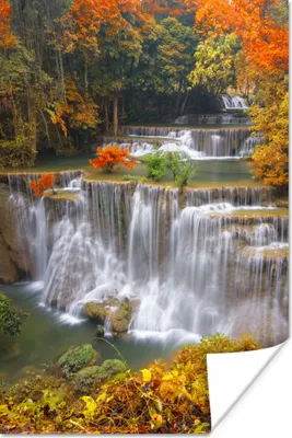 Produktbild von MuchoWow® Poster Bäume - Wasserfall - Herbst 40x60 cm - Plakate für die Wand - Poster Babyzimmer