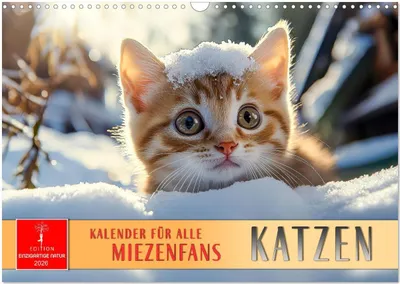 Produktbild von Katzen - Kalender für alle Miezenfans (Wandkalender 2026 DIN A3 quer), CALVENDO Monatskalender