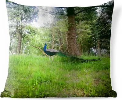 Produktbild von MuchoWow® Outdoor Kissen - Pfau - Gras - Wald - 40x40 cm - Wetterfest - Lounge Kissen - Kopfkissen - Interieur - Polster mit Bild
