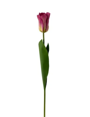 Produktbild von 2474U Künstlich Tulpe Grün-Lila 55 cm, Deko Kunstblume Frühling