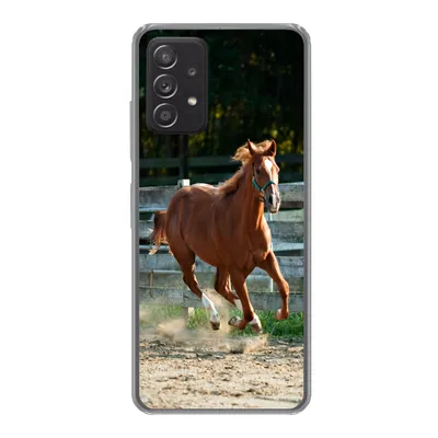 Produktbild von MuchoWow® Handyhülle Schutzhülle Hülle für Samsung Galaxy A33 5G Pferd - Licht - Sand Silikon Softcase Handy Hülle - Kartenhalter