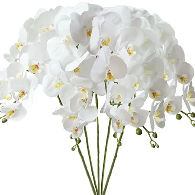 5 Kunstblumen Phalaenopsis Orchidee, 80 cm, Weiß