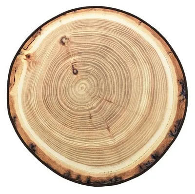 Productafbeelding van Solidchoice - 3D Rond Tapijt met Houten Jaarring Ontwerp