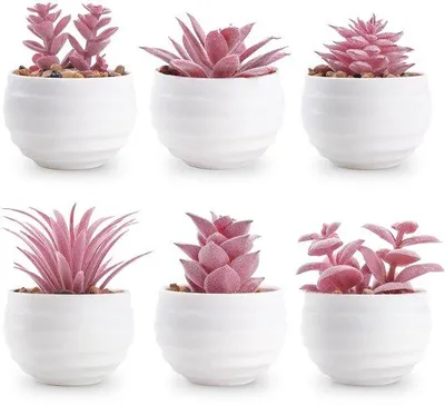 Image de Lot de 6 succulentes roses artificielles en pot pour le bureau et le salon (vert)
