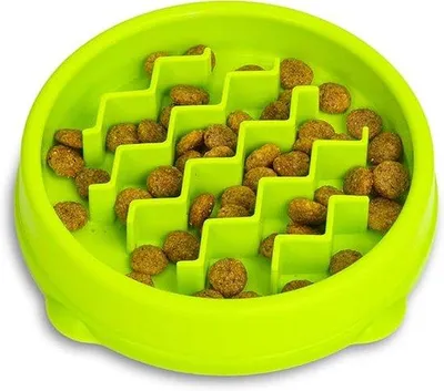 Produktbild von Famanu Katzenfutterstation – grün