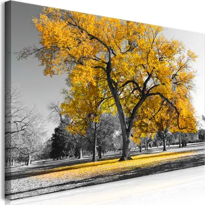 Produktbild von Wandbild Mega XXXL Baum 250x125 cm Einteiliger XXL-Format Kunstdruck zur Selbstmontage Leinwandbilder moderne Bilder DIY Wanddekoration Wohnung Deko Landschaft c-B-0445-ak-g