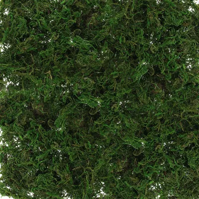 Produktbild von Naturmoos, getrocknet, 5er Set