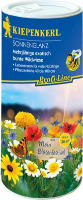 Produktbild von Kiepenkerl Blumenmischung Dose Sonnenglanz Inhalt: 30 m²