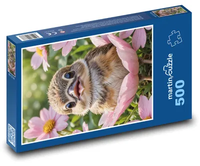 Produktbild von Puzzle 500 Vogel in Blumen - martinpuzzle