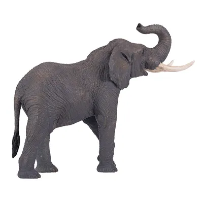 Obrázok produktu pre Mojo Wild Life Slon africký 381005