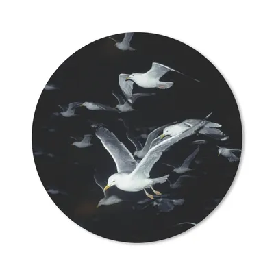 Produktbild von MuchoWow® Mauspad Mousepad Vogel - Schwarz - Schwarm 20x20 cm - Mousepads - Maus Mat - Pad - Mausunterlage - Schreibtischmatte