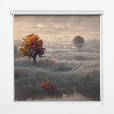 Produktbild von Seitenzug-Rollo Fensterrollo Jalousie - Lichtdurchlässig Springrollos - 130x180 cm - Bäume im Nebel