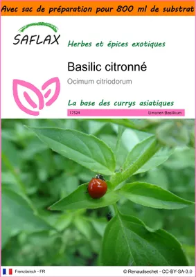 Image de SAFLAX Garden in the bag - Basilic citronné - 200 graines - Ocimum