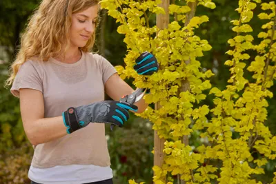 Produktbild von Gardena 11531-20, Gartenhandschuhe, Schwarz, Blau, Grau, L, Baumwolle, Elasthan, Nylon, Polyester, Polyurethan, 40% Polyester, 35% Nylon, 18% Polyurethan, 5% Baumwolle, 2% Elasthan