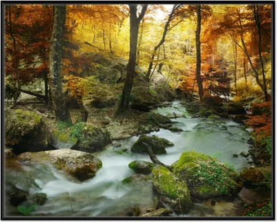 Produktbild von Wallario Wandbild Wasserfall mit moosbedeckten Steinen im Herbstwald, Größe: 40,30 x 50,30 cm, Poster mit schwarzem Aluminiumrahmen