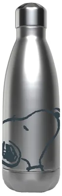 Obrázek produktu pro Láhev z nerezové oceli s motivem Peanuta Snoopy, objem 550 ml