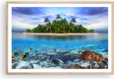 Produktbild von Gerahmtes Poster - Rahmen in heller Eiche - Strand lagune wasser ozean - 91,5x61 cm - Wand Bild - Wanddeko - Wandbilder - Wandposter - Bilderrahmen - Bilder - Kunstdruck - Wandbild - P2NAA91x61-2686