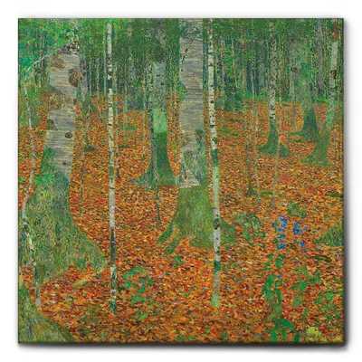 Immagine prodotto di Giallobus - Bosco di betulle - Gustav Klimt - 50L x 50l cm - Quadro - Tela Canvas Telaio Standard