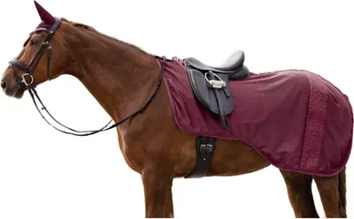 Immagine prodotto di Tappeto da equitazione Waldhausen Roma