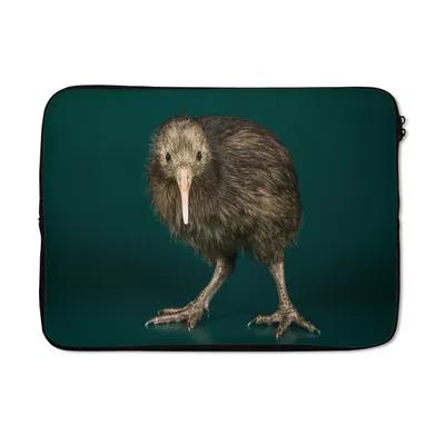 Produktbild von MuchoWow® Laptop Hülle 14 ZollKiwi - Vogel - Grün Laptoptasche - Laptoptasche - Stoßsicher - Schutzhaube