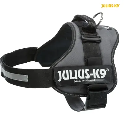 Image de Harnais Julius-K9 Power taille 0-3