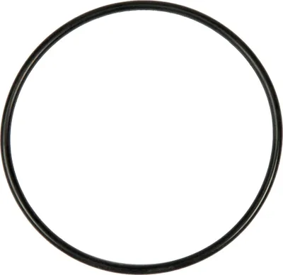 A black O-ring on a white background.