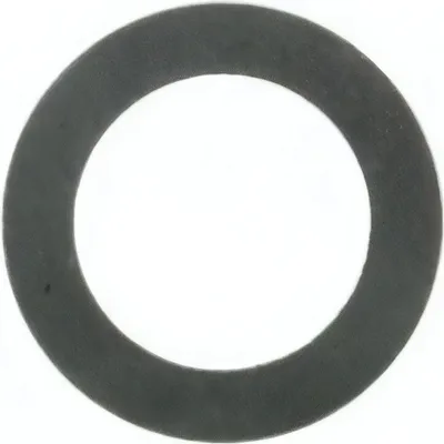 Image de Disque de montage 11x17x0.3 (DIN 988)