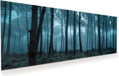 Produktbild von Glasbild 100x40cm in XXL für Wohnzimmer, Schlafzimmer Motiv Nebeliger Wald