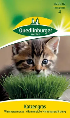 Artikelbild 2 von 'Katzengras Wiesenlieschgras' aus der Kategorie Kleintiersaaten