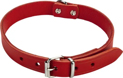 Obrázek produktu pro Beeztees 735306, pes, obojek standardní, červený, kožený, jednobarevný, 37,5 cm