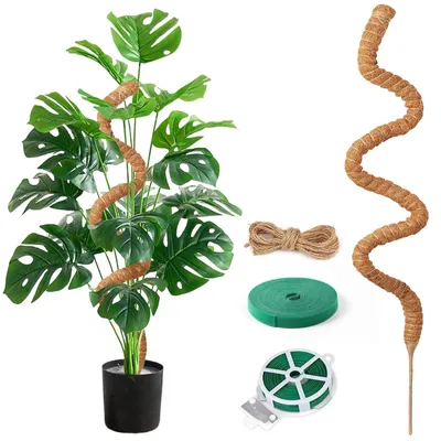 Productafbeelding van Plantensteun klimplantensteun - Monstera steun - 125 cm - Kokos - Plantenband en tuinkoord
