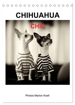 Produktbild von CHIHUAHUA CHIC Photos Marion Koell (Tischkalender 2027 DIN A5 hoch), CALVENDO Monatskalender