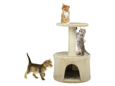 Produktbild von Zoofari® Katzen Kratzturm Katzenbaum Kratzbaum für kleine Katze / Kitten NEU
