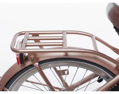 Produktbild von Alpina Achterdrager 22 Clubb Rose Gold Matt