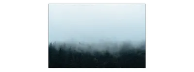 Produktbild von Muralo Fototapete Wald im Nebel 90 (B) x 60 (H) cm Vlies Tapete Wandtapeten Bäume Wohnzimmer Schlafzimmer moderne Wandbilder XXL Landschaft Panorama Wand Dekoration