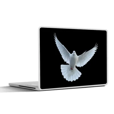 Produktbild von MuchoWow® Laptop Aufkleber Sticker Cover Taube - Vogel - Schwarz - Weiß - Porträt 30x22 cm - Laptop-Sticker