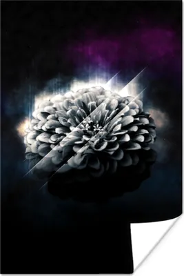 Produktbild von MuchoWow® Poster Blume - Licht - Schwarz 20x30 cm - Papierdruck