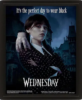 Produktbild von Wednesday 3D-Effekt Poster im Rahmen Perfect Day 26 x 20 cm