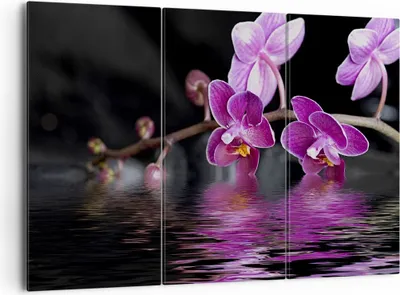 Produktbild von Bild auf Leinwand - Leinwandbild - Asien exotisch orchidee blume - 165x110cm - Wand Bild - Wanddeko - Leinwanddruck - Bilder - Kunstdruck - Leinwand bilder - Wandkunst - CE165x110-2312